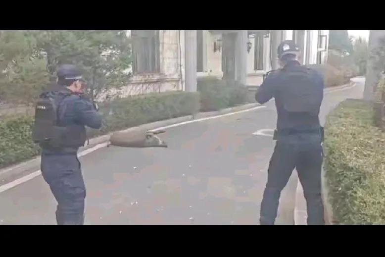 辽宁街头的“特殊枪声”

亲爱的朋友们，今天要跟大家分享一则发生在辽宁鞍山的特别