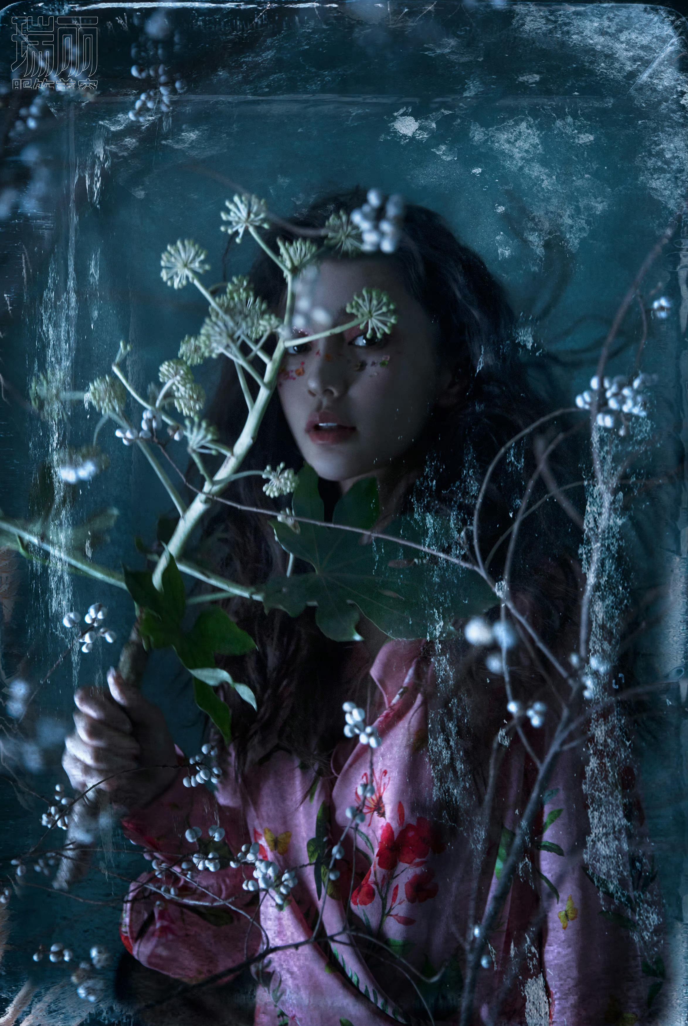 #angelababy# 💍 #angelababy三五风来亦徐行# 寒冬将去