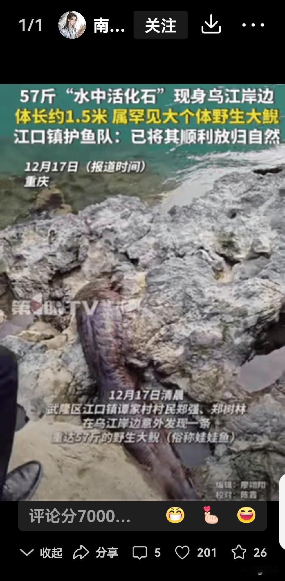 重庆江畔的石头缝里传出一阵窸窣声时，村民老李正弯腰清理杂草。他下意识后退半步，以