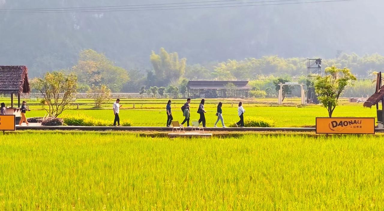 💚风从远山衔来雾的软，脚印在稻浪上绣出夏天的褶皱。
☀️大地铺展着鎏金的梦，每