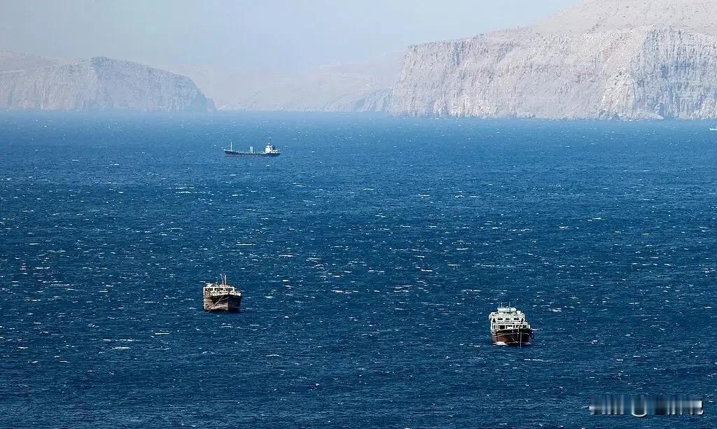 美军舰“冒充商船”渗透海峡被锁定，伊朗下令30分钟撤退，否则就地击沉！美伊各执一