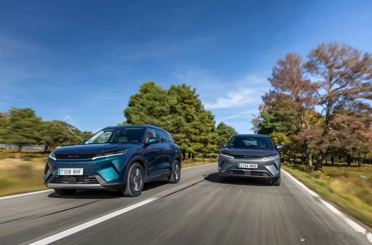 没有意外，比亚迪11月销量又杀疯了，乘联会数据显示单月狂卖48万辆，刷新单月纪录