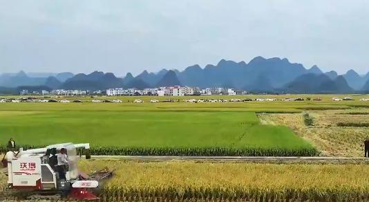 丰收的季节是传统文化的延续，湖南省永州市宁远县湾井镇田心村的庆祝活动让年轻一代感