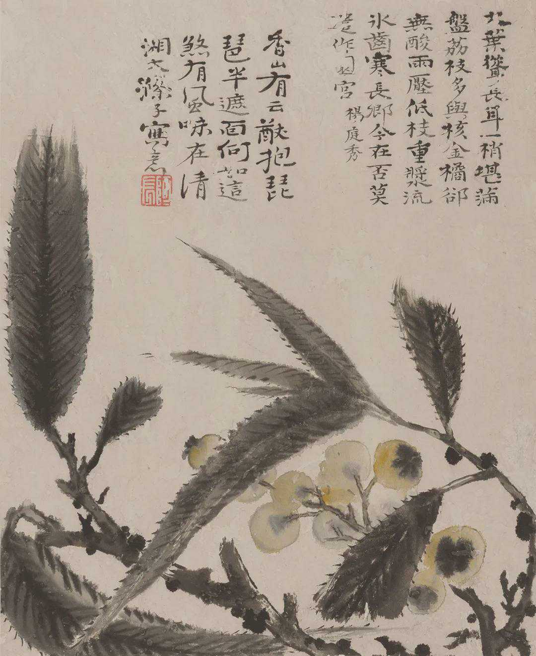 石涛《花果图册》八开 纸本设色 33x27cm。以梅花、莲蓬、莲藕、枇杷、百合、