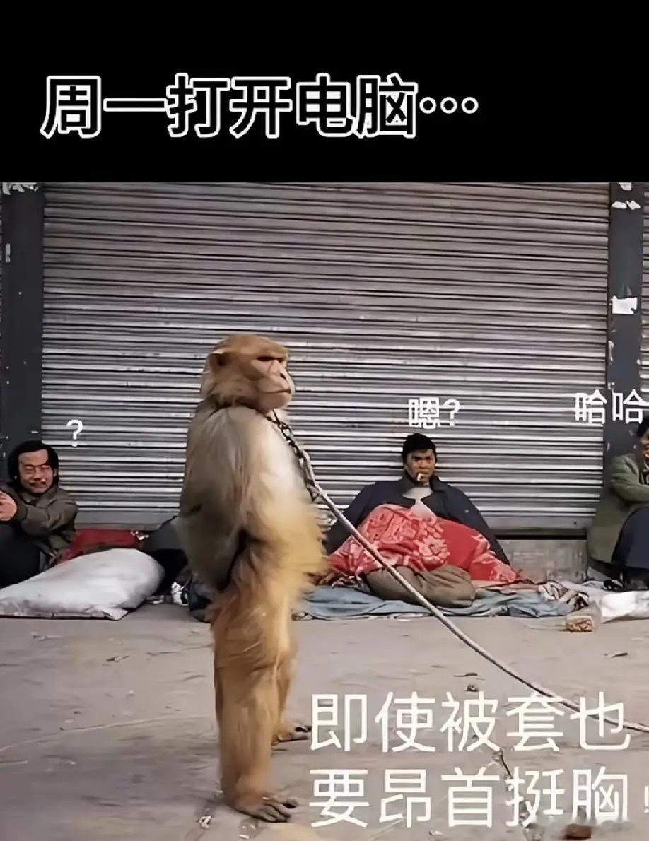 7.20底部放倍量上涨前十个股1.菲林格尔——倍量2.07，瓷砖地板2.浙大网新