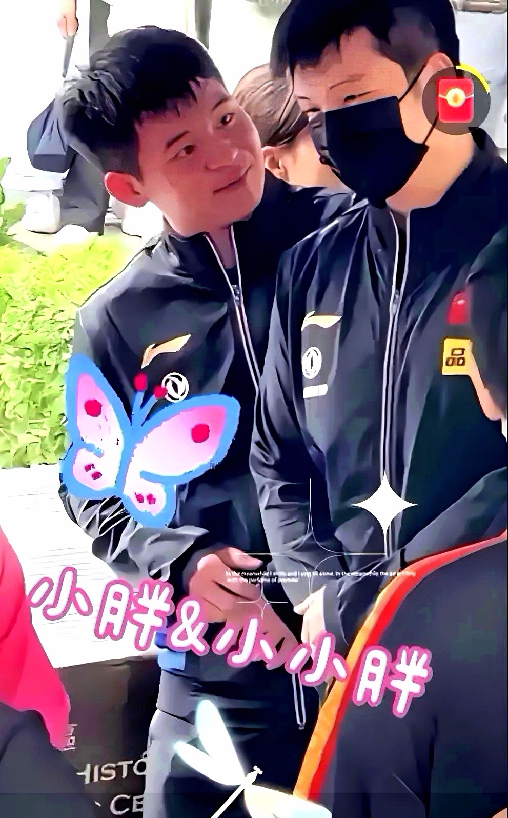 签位能绕过强敌，却绕不过历史的审视。冠军的纯度，由所击败对手的硬度决定。石头三捷