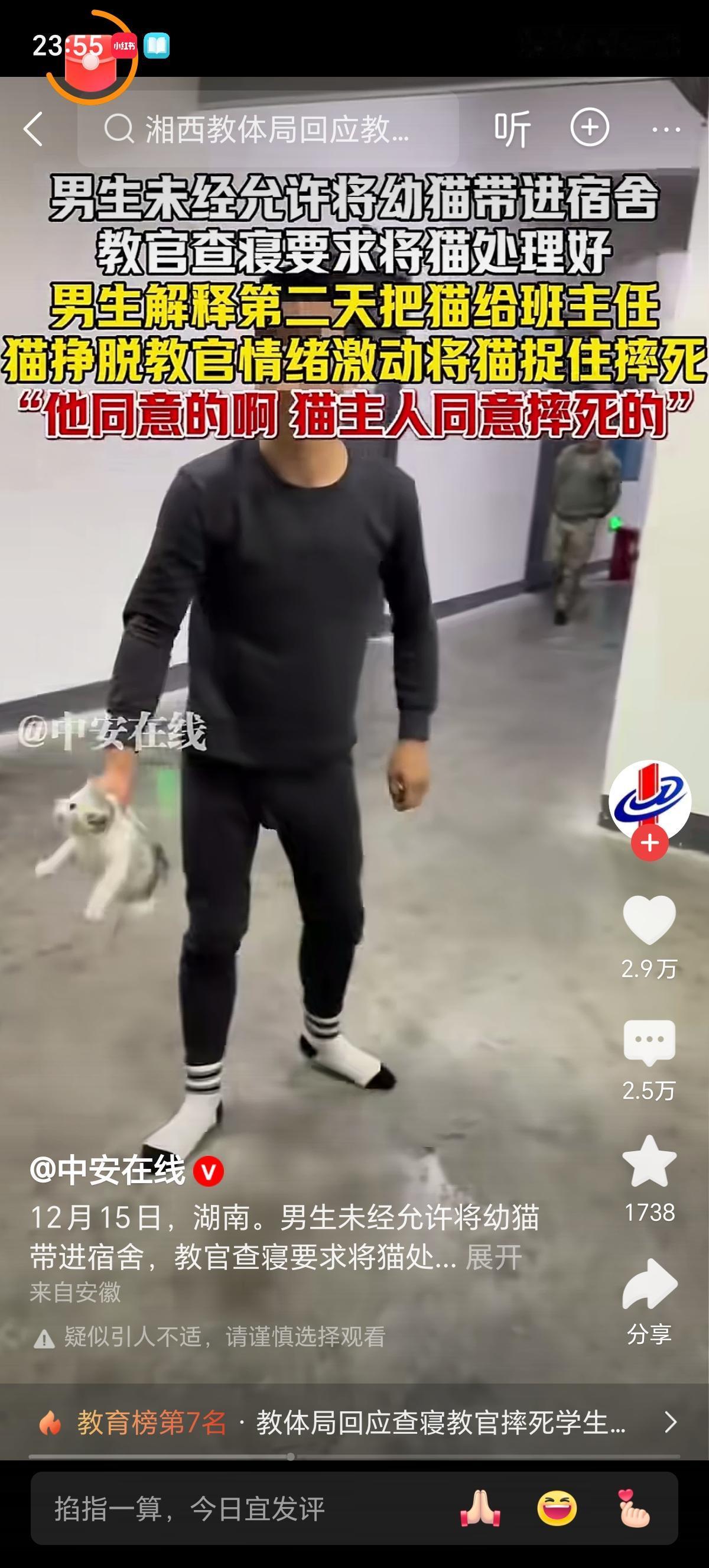 俩人一吵起来，猫就背了锅了，猫的脖子被人抓着，那不能舒服啊，猫肯定得反抗的。一个