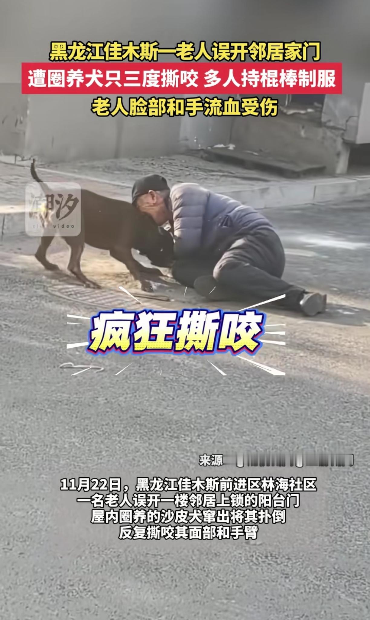 黑龙江佳木斯56岁老人误开邻居家门，邻居家养的沙皮犬冲了出来咬伤老人，3次撕咬，