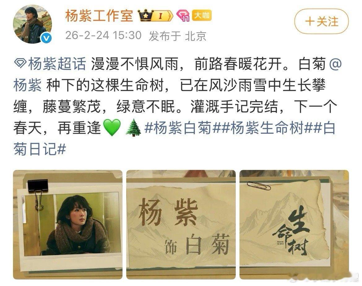 白菊完成的非常nice而工作室给我感觉在养老院养老中 努努力，你还年轻赶紧加油干