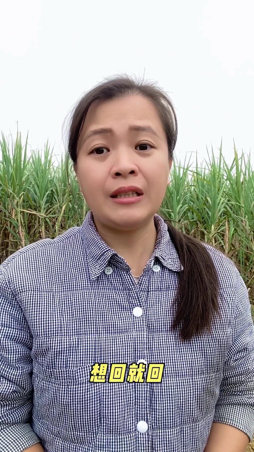 千万不要远嫁，曾以为交通便利就能常回家看看，现实却一次次打脸。
没钱时回不去，怀