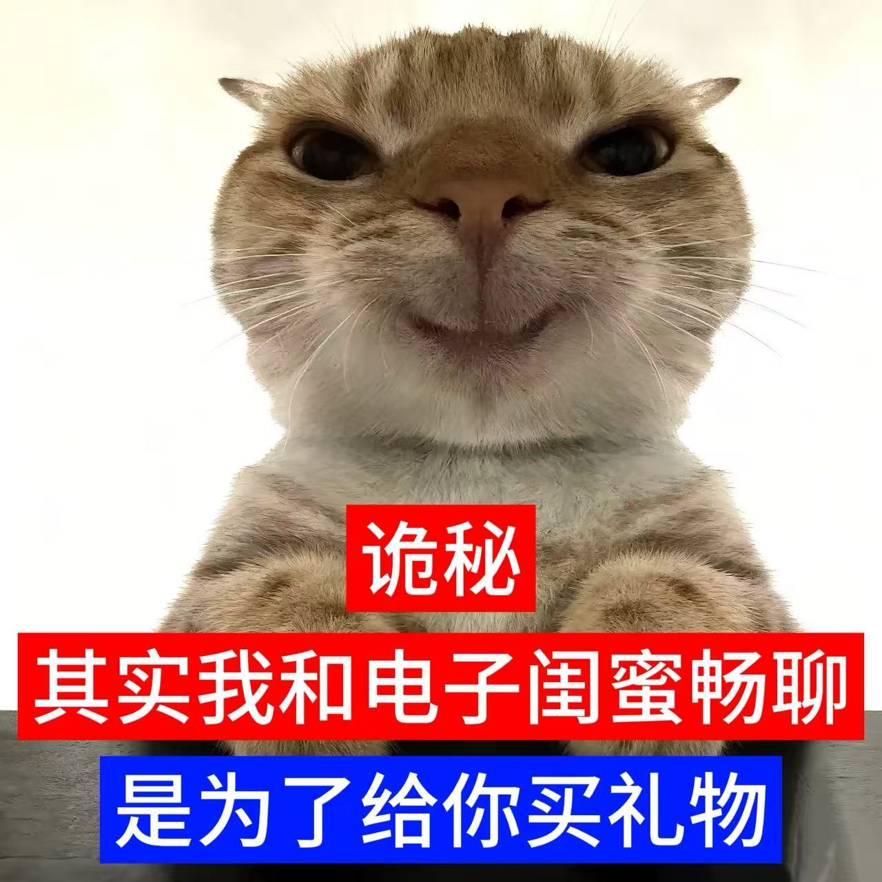 会买东西是一种美德天猫旗遇体验买地毯不用瞎脑补！天猫旗舰店AI导购直接模拟实景效