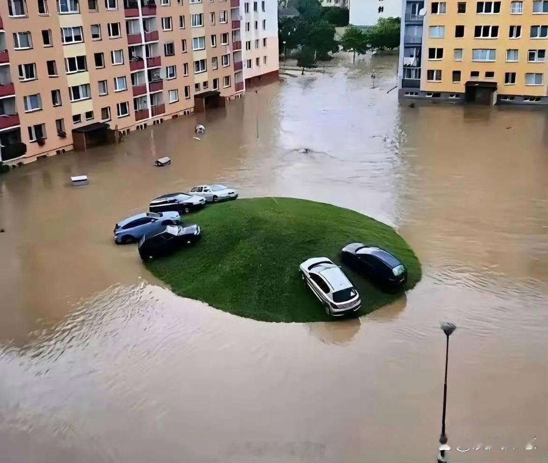 每个小区都有几个格格不入的 