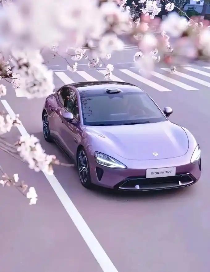 作为长期关注新能源汽车市场的资深博主，最近被问得最多的问题就是