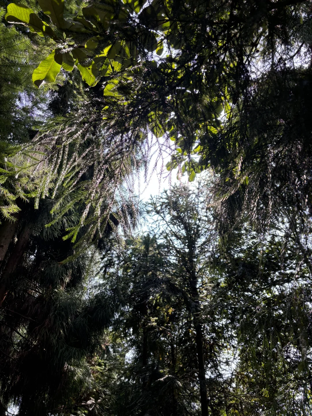 全是优点的快乐山 上元古道