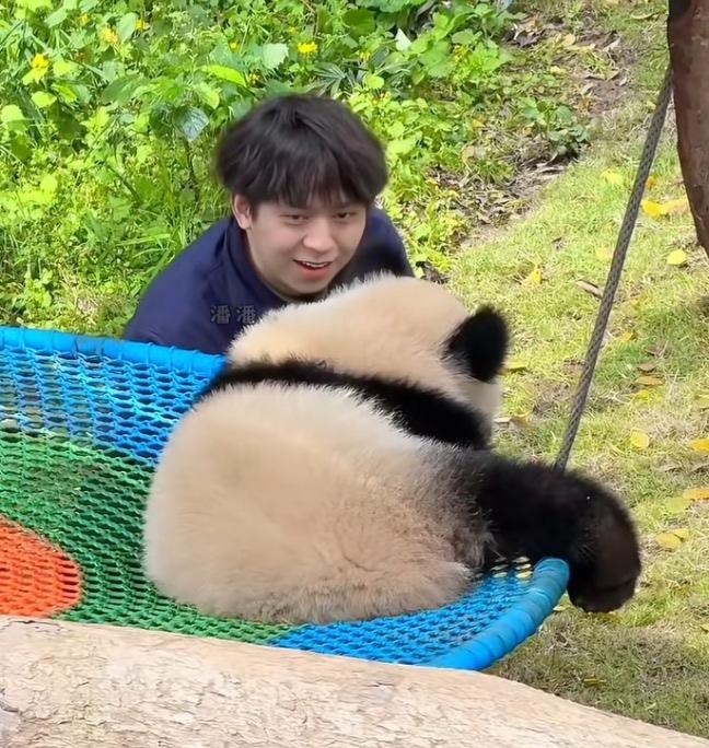 小月亮熊小鬼大，好精灵啊！项奶爸蹲在吊篮旁看着小月亮，跟小月亮商量下班回家的事情