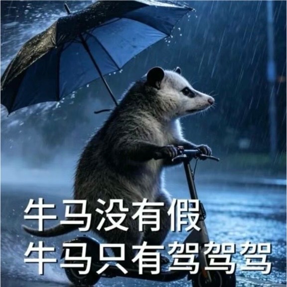 牛马没有假 只有驾驾驾 