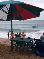 全军覆没
外国人咋就这么爱冒险呢？😂