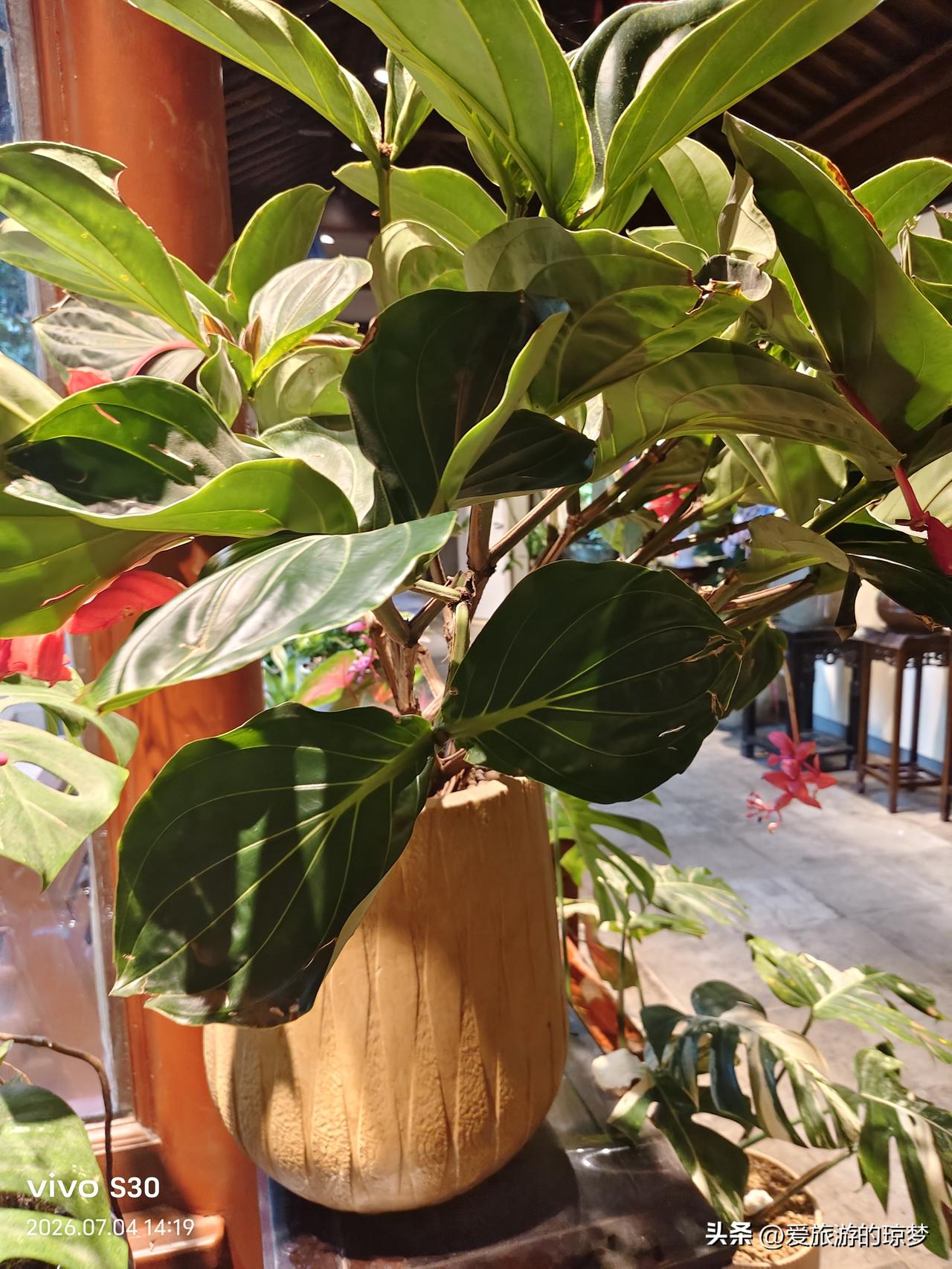 夏日生活打卡季