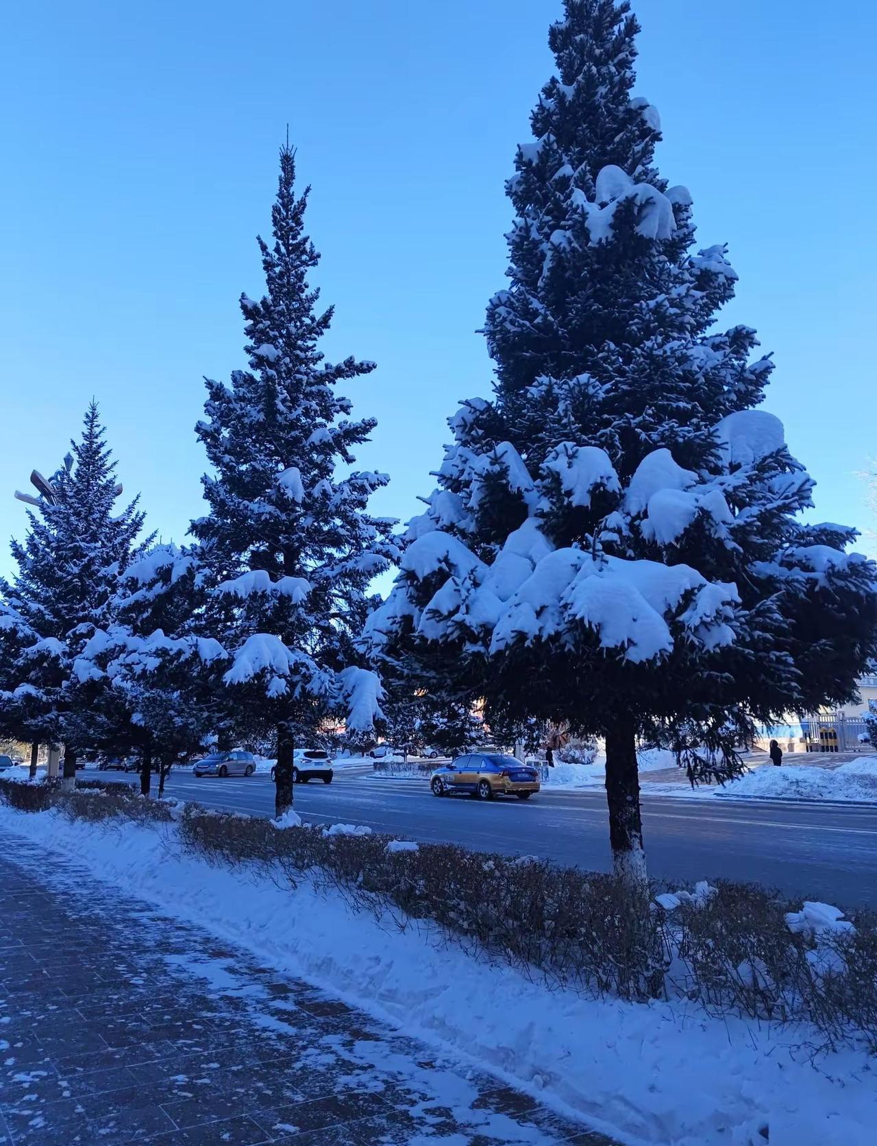 大自然的美景 雪山爬山推荐