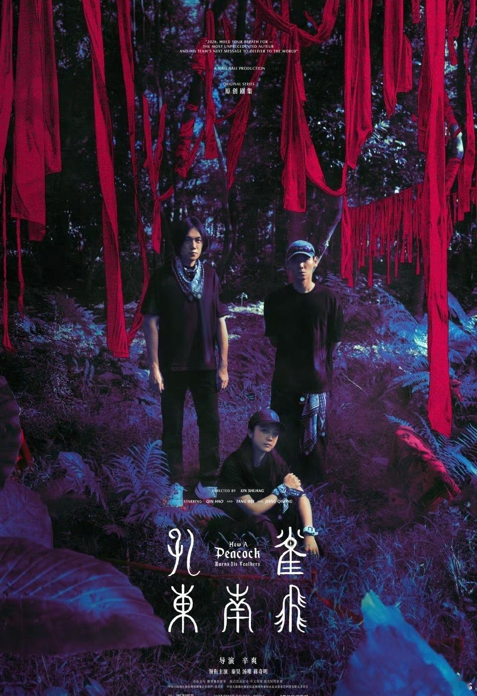 悬疑剧《孔雀东南飞》 共6集，已杀青导演：辛爽（《隐秘的角落》《漫长的季节》）领