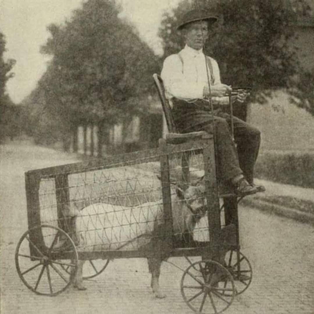 1930年代的羊力车[笑cry][笑cry] ​​​