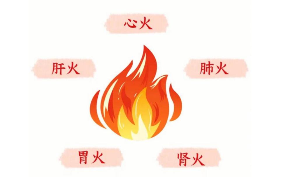 心火长口疮，肝火麦粒肿，肺火流鼻血，胃火牙齿痛，肾火欲望大！
 
 
一药一脏，