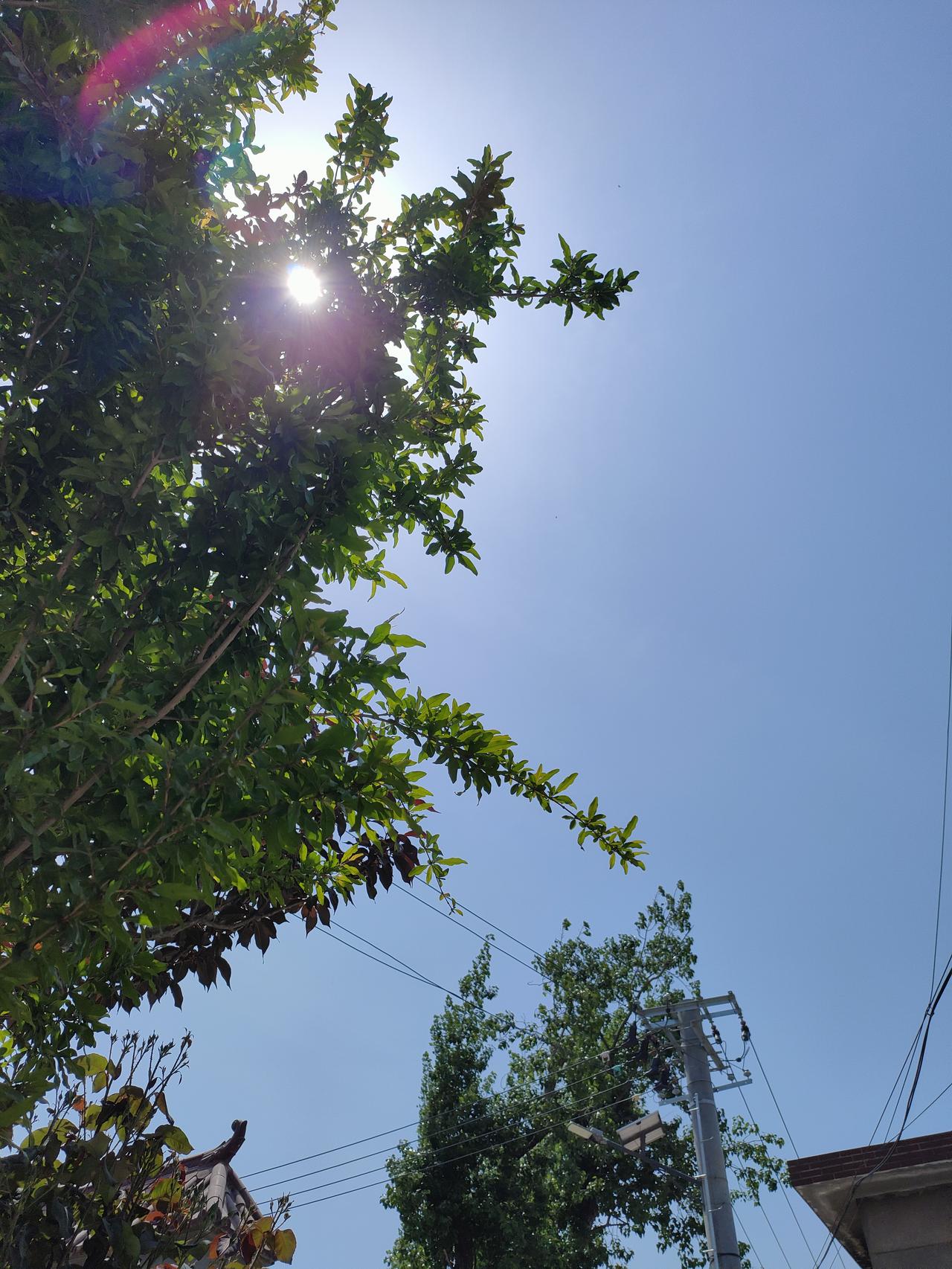 可以分享一张你拍的天空美照吗阳光正好，微风不燥，树叶藏着温柔日光，日子清淡又安详