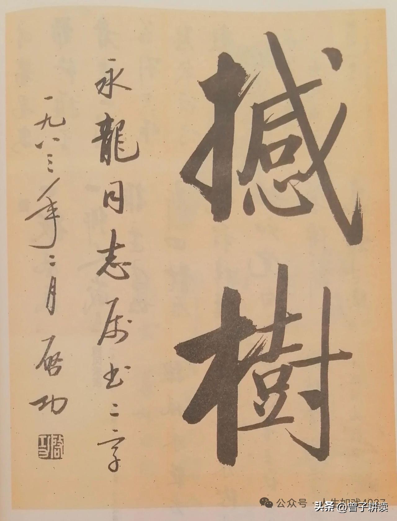 🔥启功1983年写下“撼树”，笔里藏着最清醒的文人风骨！
温润的启体刚劲藏锋，