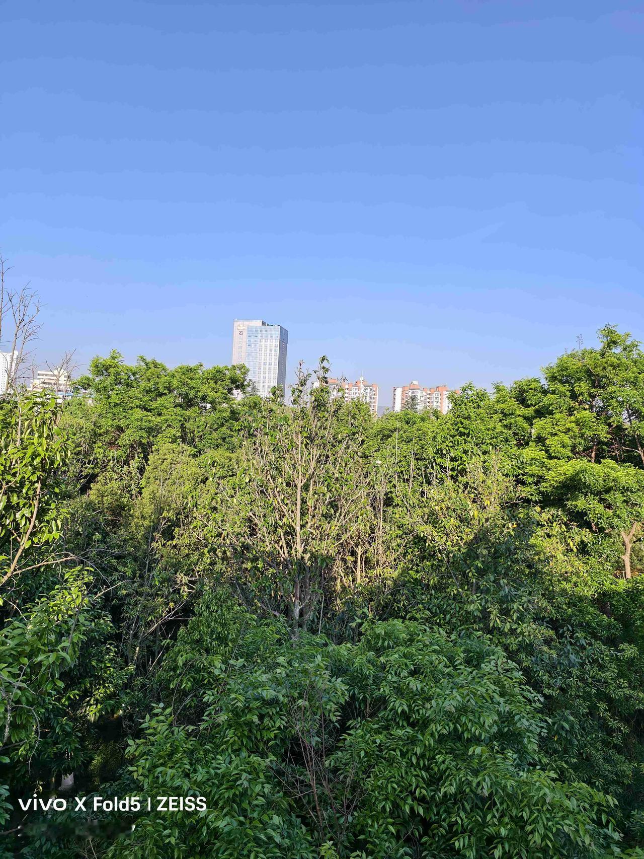 妈妈：行动快点，动作麻利点，要不，捡垃圾都捡不到好一点的垃圾。

下午四点多，去