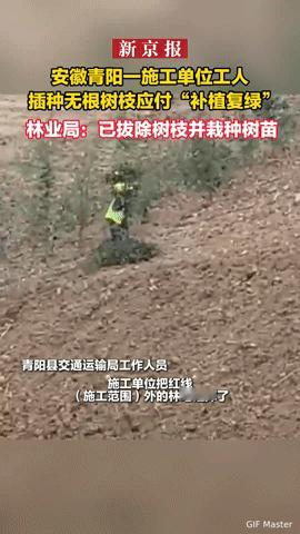 补植复绿竟插无根树枝？安徽青阳这操作也太敷衍了！
 
为完成“补植复绿”，居然插