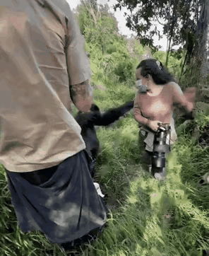估计是🦍的老婆来了吧？[捂脸]