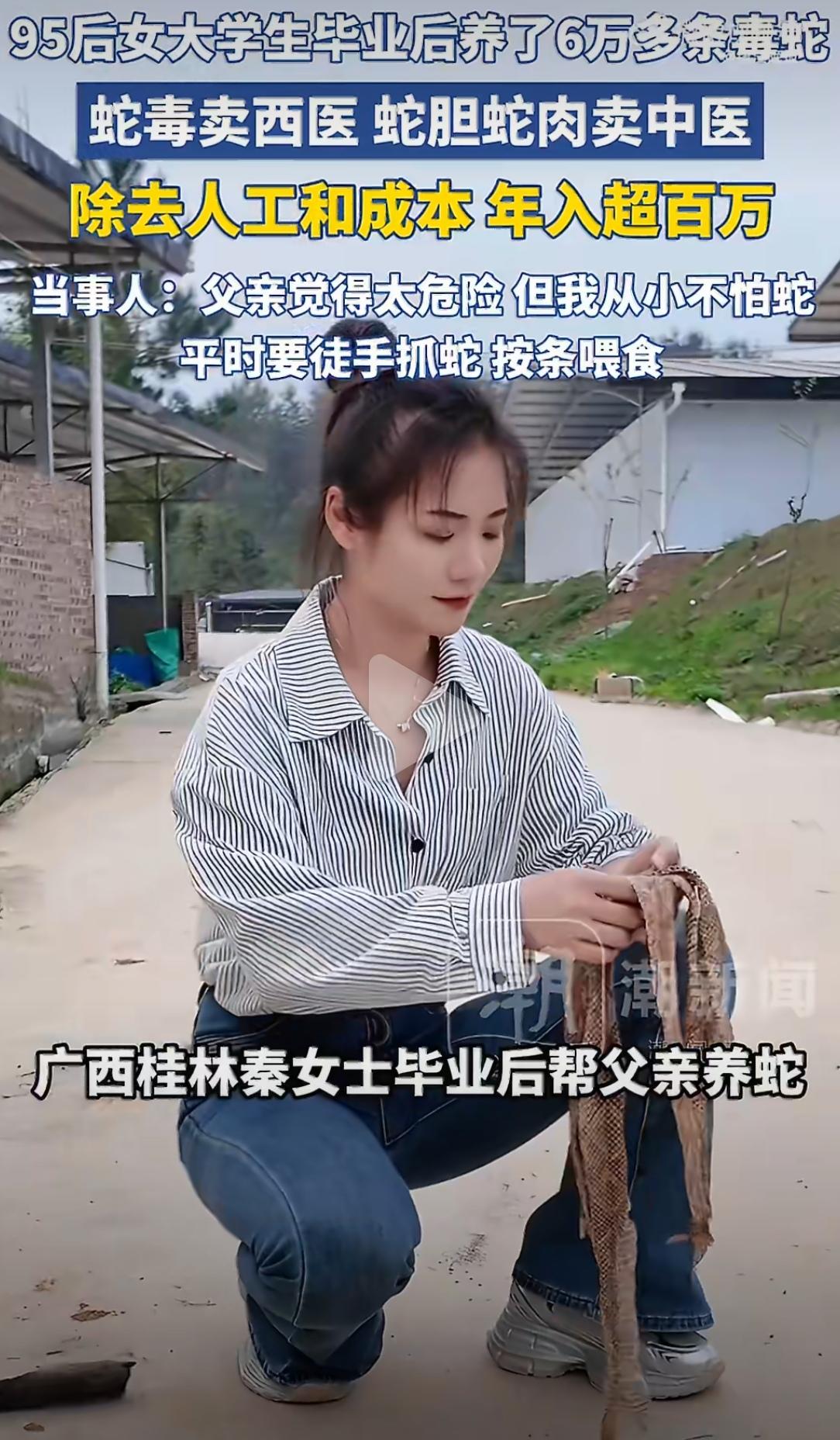 广西桂林，一位95后姑娘，养了6万多条毒蛇——五步蛇、眼镜蛇，满坑满谷。年入超百