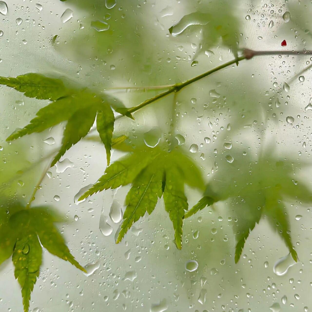 Background｜背景图“日落归山海，山海藏深意。”𝙏𝙝𝙚 𝙨𝙪?