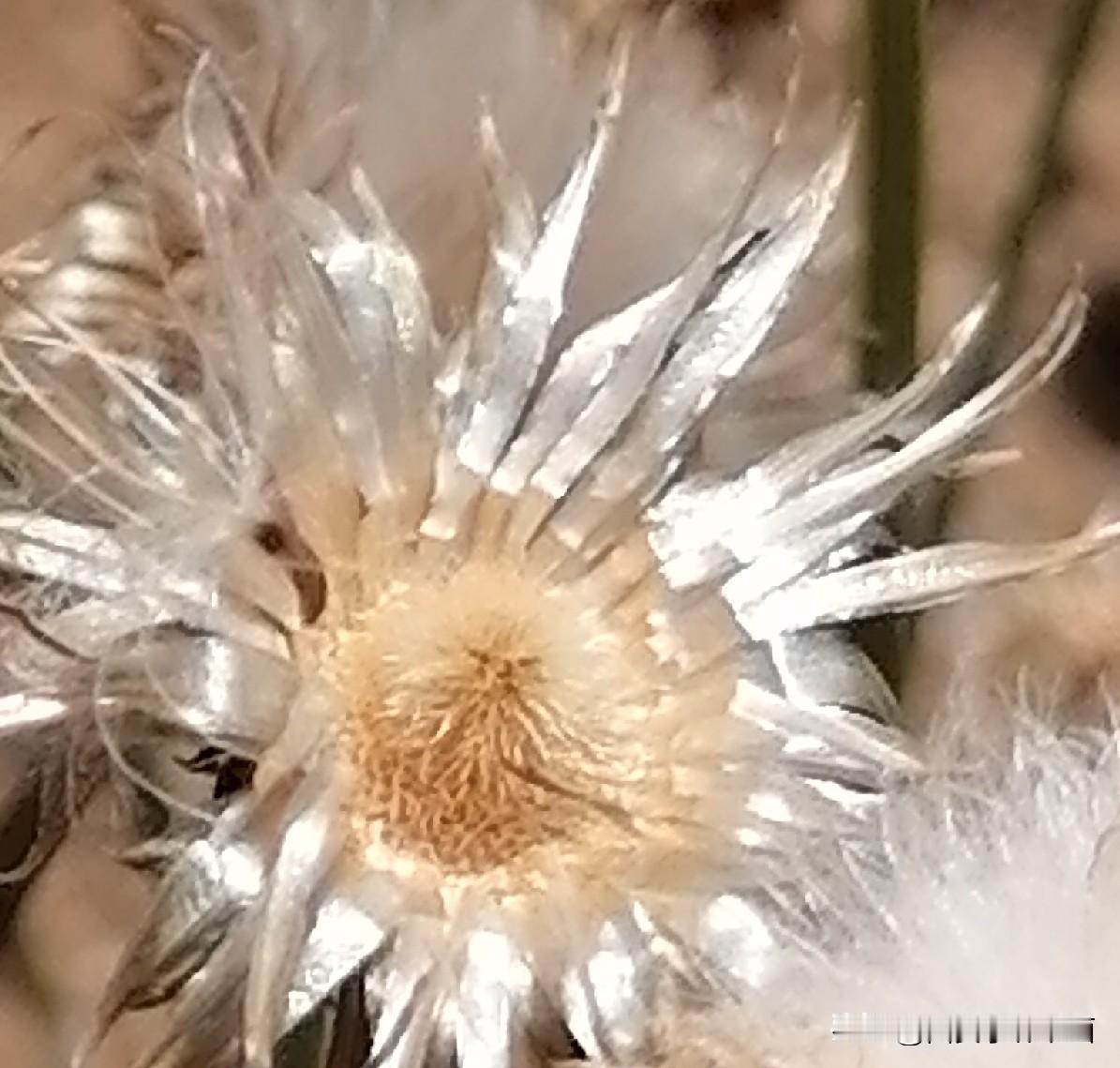 我新发布的内容被官方推荐啦！👍你也快来发布一条吧！带记录真实生活话题，更容易被