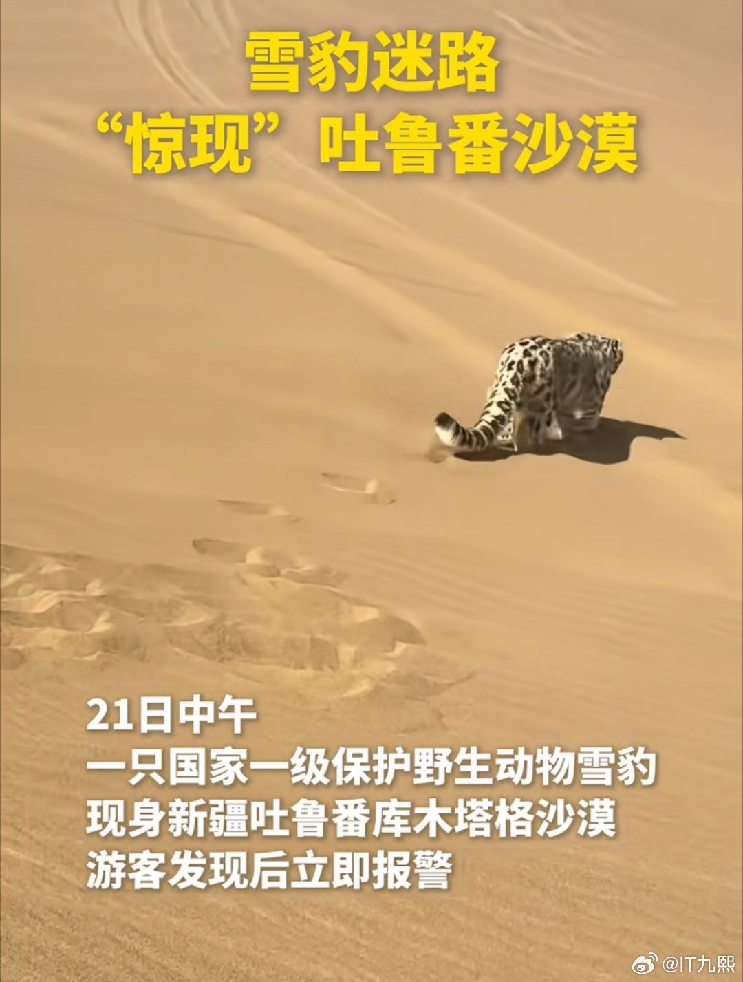 和家里那位吵架，气得离家出走了？ 