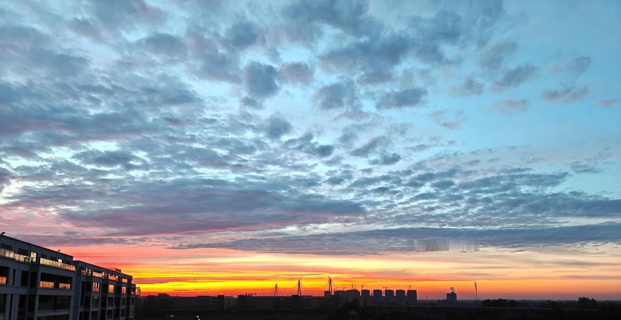 冬日生活打卡季