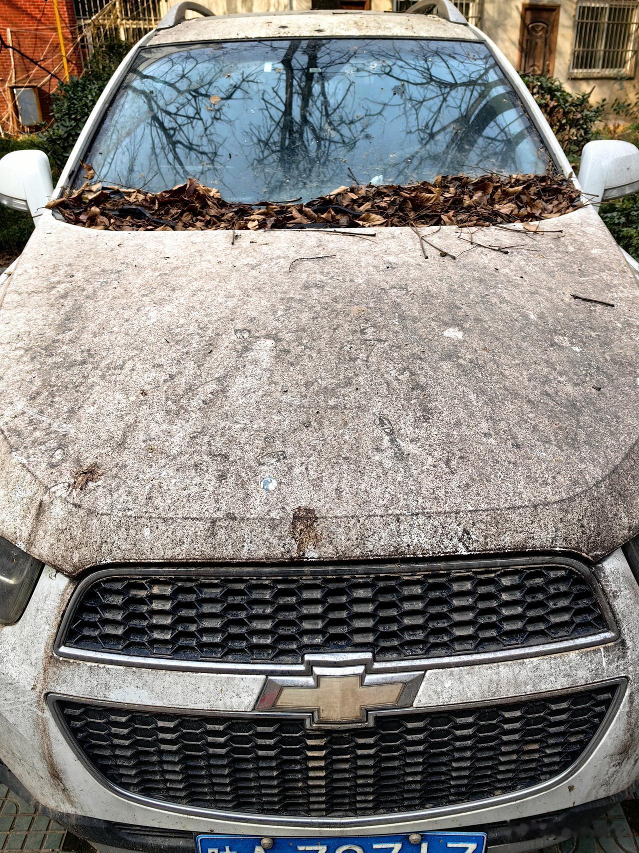 小区路过，我想知道这区友到底经历了什么？晒图笔记大赛晒图大赛