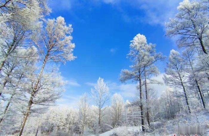 '早安早安,新的一天治愈不开心人生感悟人生微语早安心语 情感语录每天说早安心情日