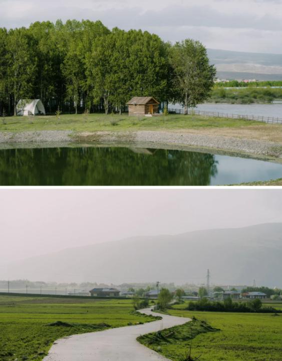 碗底印“你是猪吗”，别拿冒犯当幽默
亲爱的朋友们大家好，我是海林小百科，今天我们