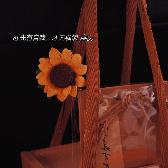 “要过好自己的生活，在销声匿迹的日子里幸福着。” 