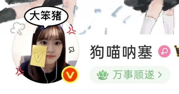简直适配[卡皮巴拉] ​​​