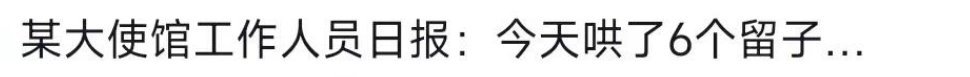 原来大使馆对留子的意义这么重