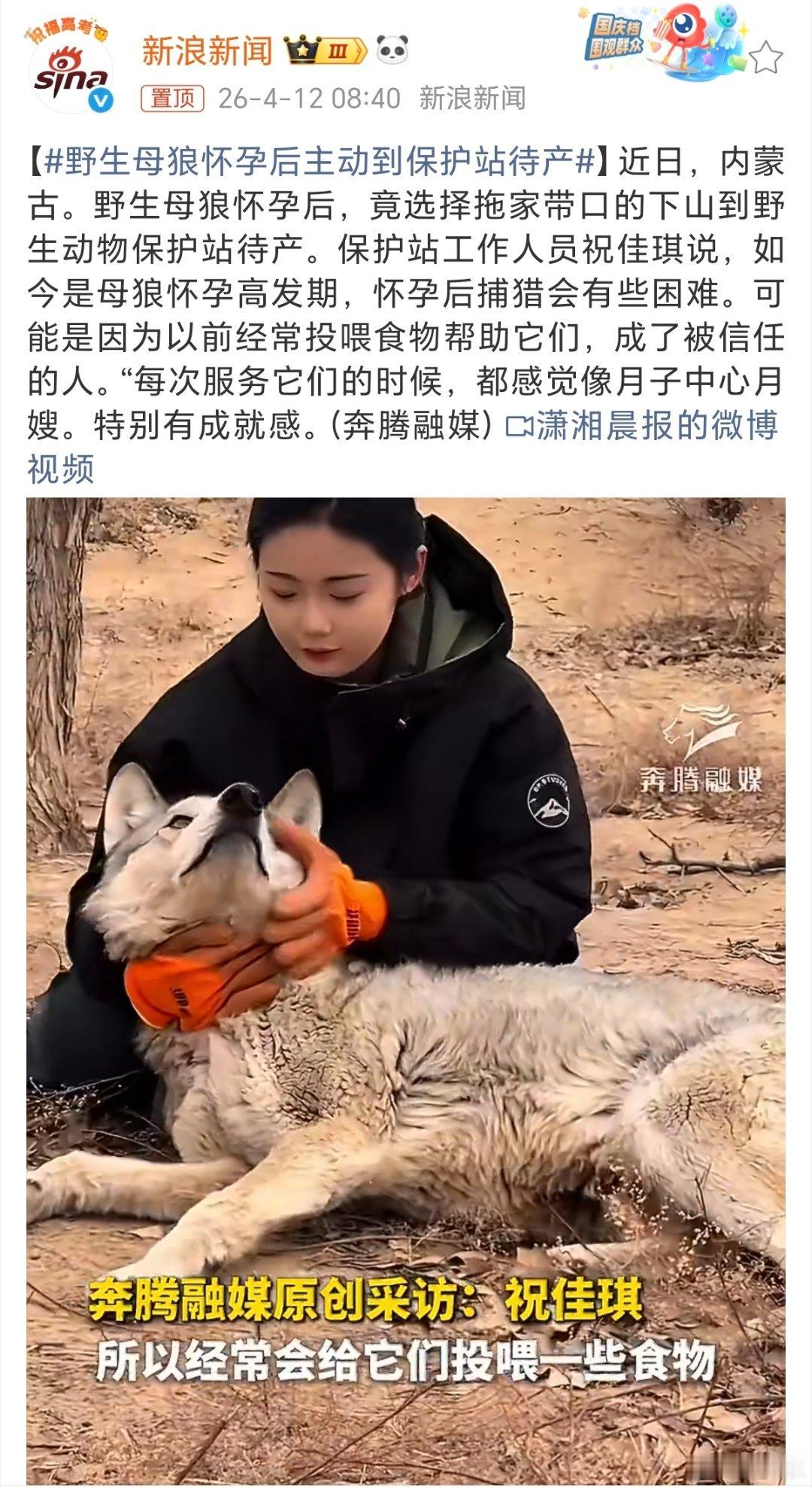 95后姑娘养6万多条毒蛇年入百万这些工作都不是普通人能干的，我只想说这两位女生都