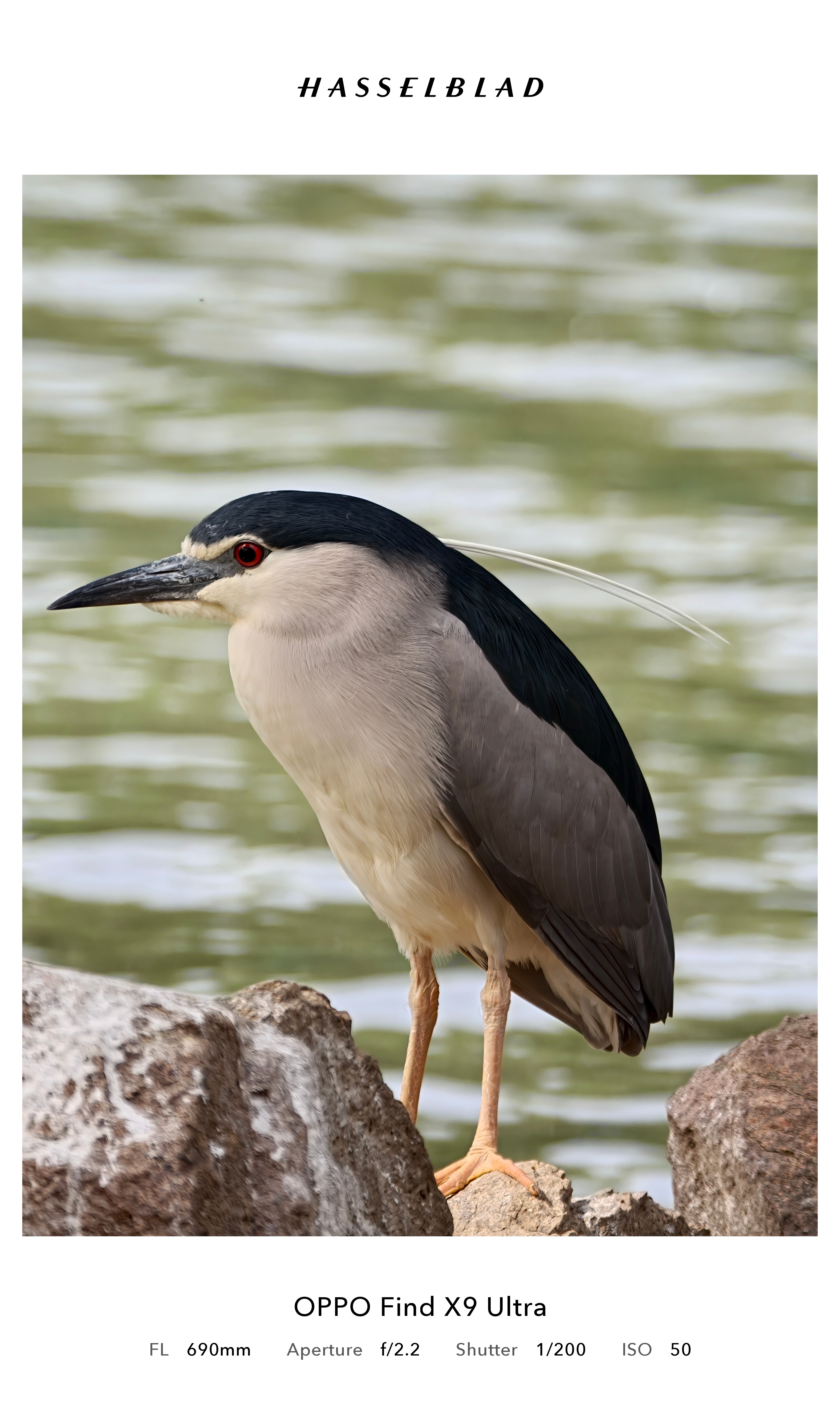 OPPO Find X9s Pro和Find X9 Ultra今天正式开售了，F