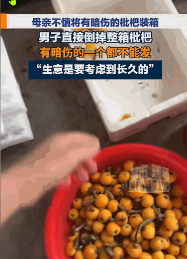 诚信为本，品质为先。5月25日报道，江苏苏州一位枇杷种植户小哥，最近就上演了这么