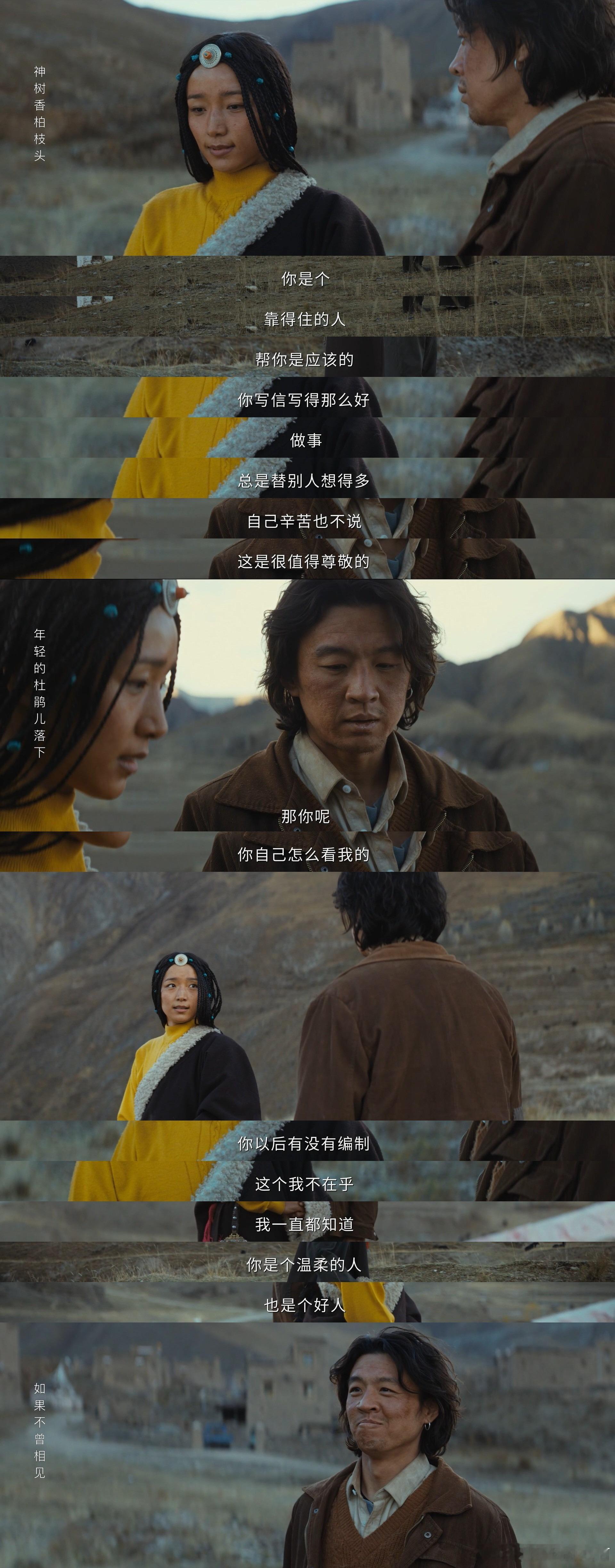 高原缺氧但不缺纯爱 白及 × 小燕是彼此的光！相互给予力量，一起规划未来，这样的