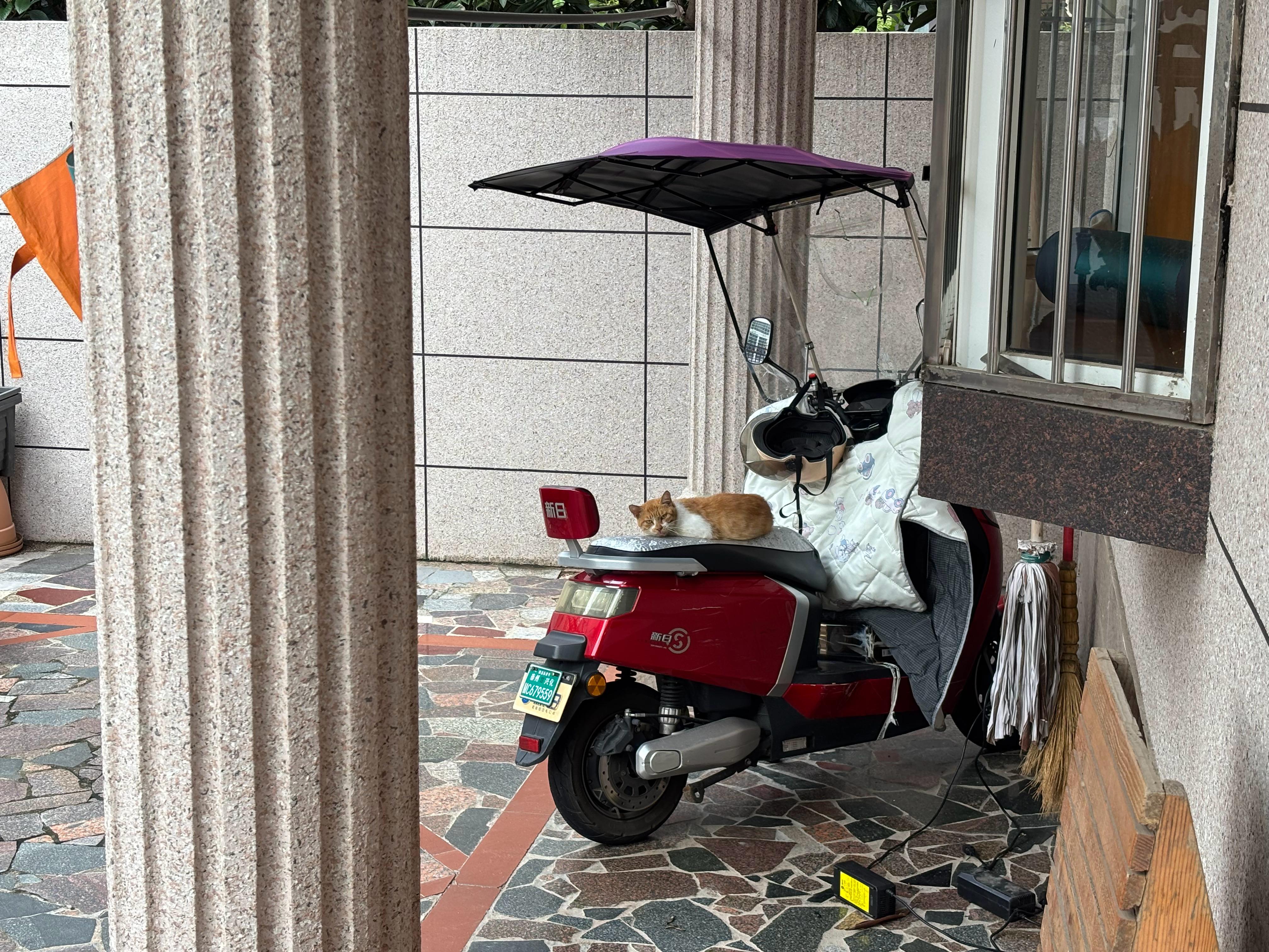 可爱小猫咪来屋檐下躲雨把电动车坐垫当成了猫抓板