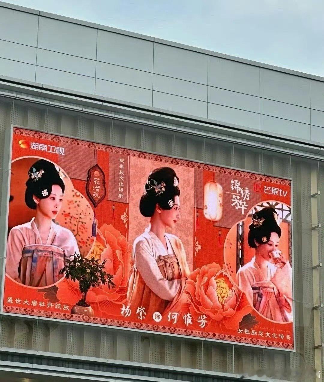 杨紫锦绣芳华大屏 ​​​