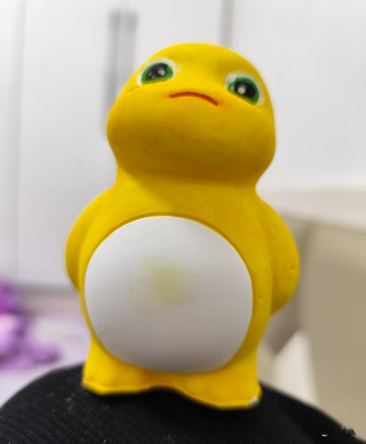 夏日生活打卡季
