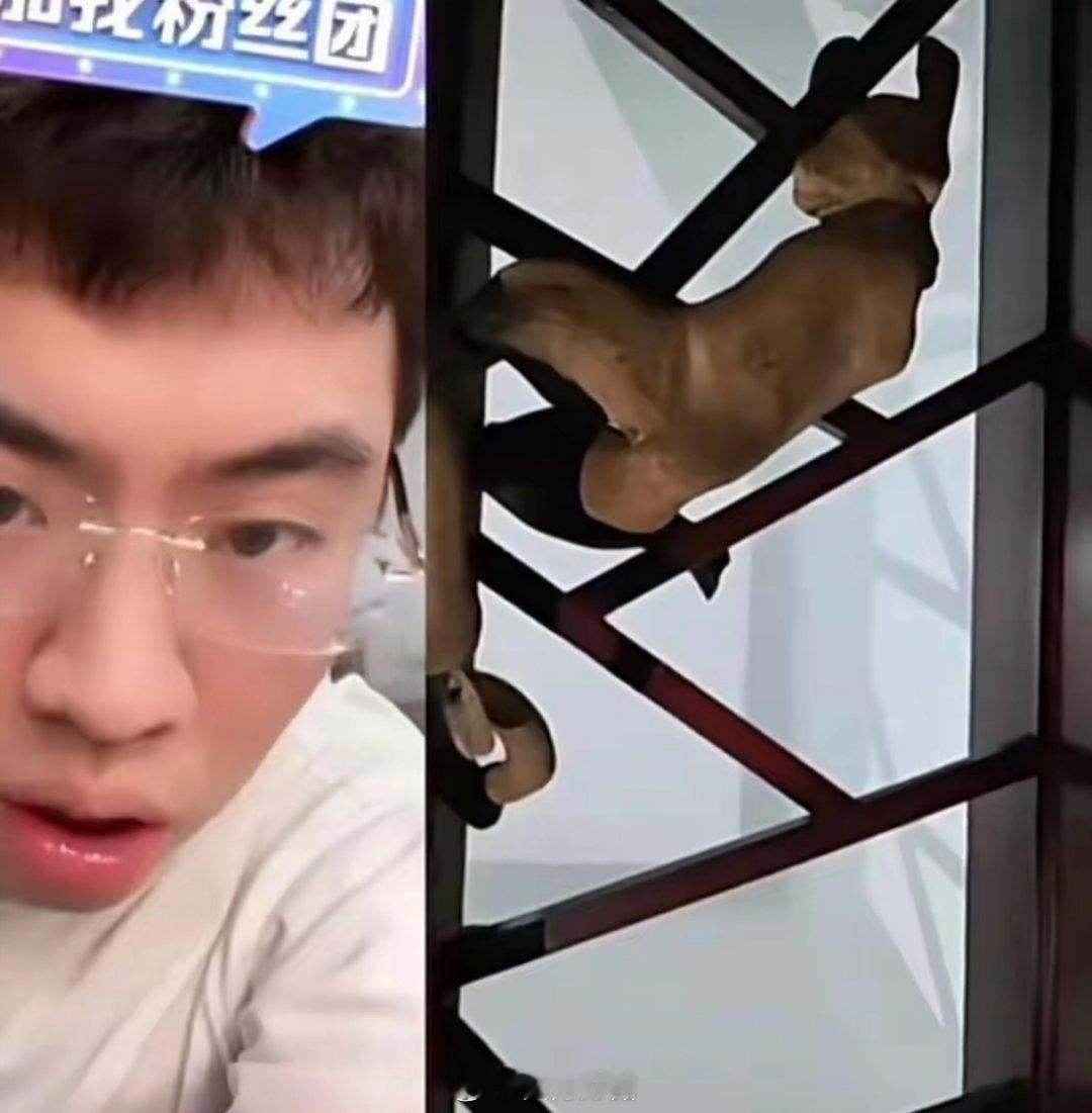 听泉鉴宝最恐怖的一集说到听泉鉴宝这档节目，真是让人又爱又恨啊！那集恐怖事件到现在